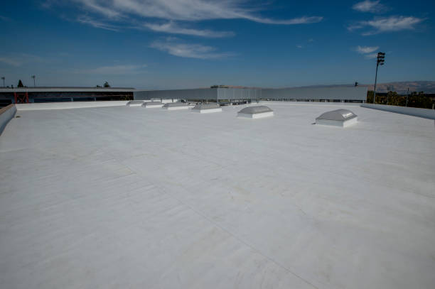 Best 4 Ply Roofing  in Schofield, WI