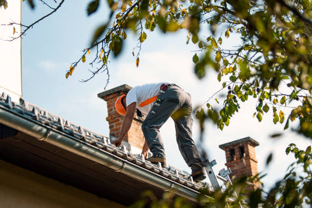 Best Roof Ventilation Installation  in Schofield, WI