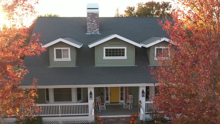 Best Roof Moss and Algae Removal  in Schofield, WI