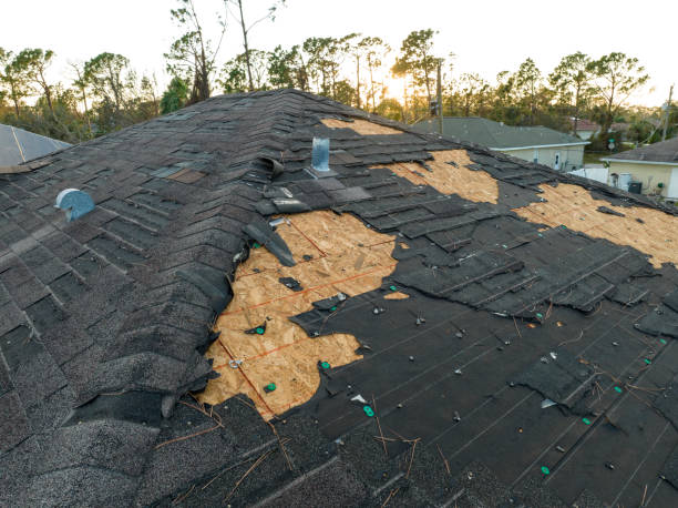 Best Asphalt Shingle Roofing  in Schofield, WI