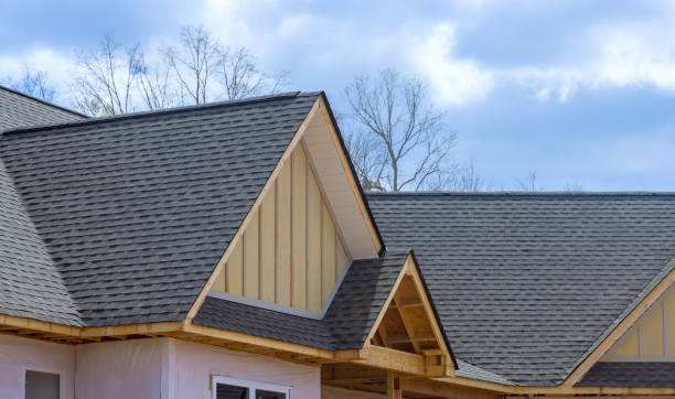 Best Roof Insulation Installation  in Schofield, WI