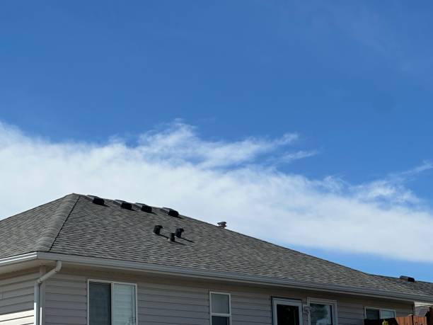 Best Solar Panel Roofing Installation  in Schofield, WI